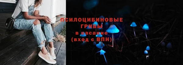 мяу мяу мука Белоозёрский