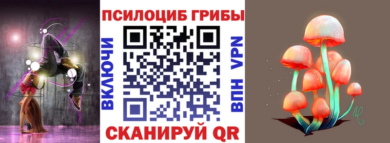 Купить закладки  Карабаш  Псилоцибиновые грибы мухоморы 